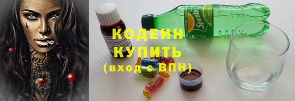 крисы Богородицк