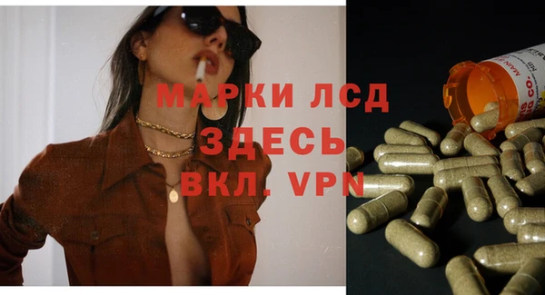 крисы Богородицк