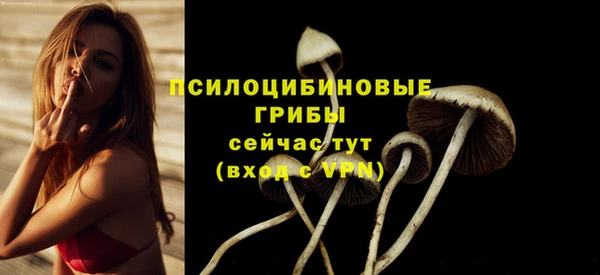 метадон Богданович