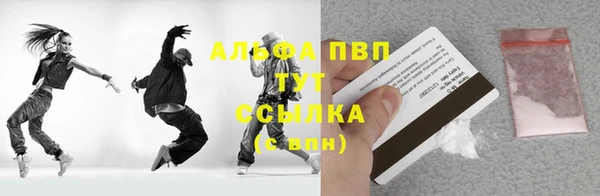 крисы Богородицк