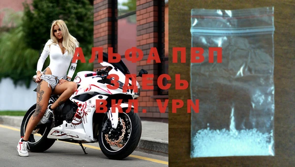 крисы Богородицк