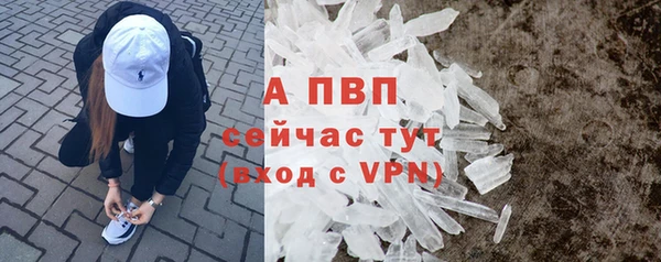 метадон Богданович