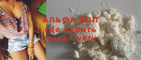 метадон Богданович
