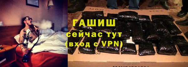 метадон Богданович