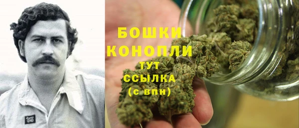 крисы Богородицк